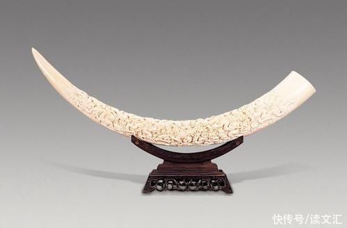  挖到|四川金沙遗址挖出千根象牙，刚挖到一半，专家大喊:埋回去，快撤