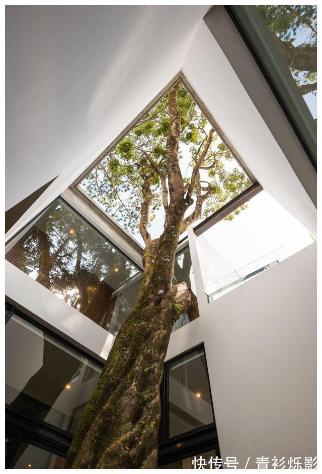 天花板|现代别墅装修设计，回归自然的林中别墅，也许这就是最后的归宿