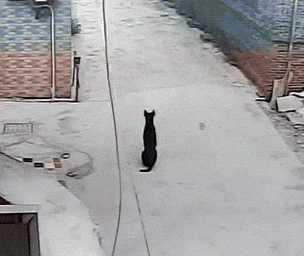 真皮|“有人敢卖,有人敢买,搞笑留言买家才是真皮!”