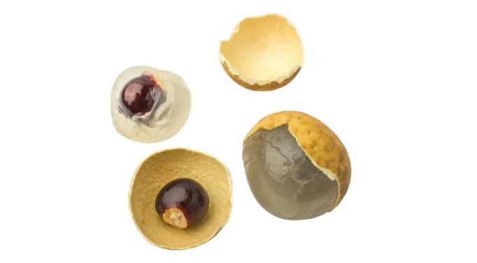 桂圆|吃桂圆益气养血,安神助眠,但几个禁忌要注意