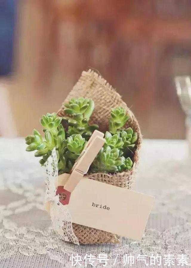 只要脑洞够，万物皆可花盆