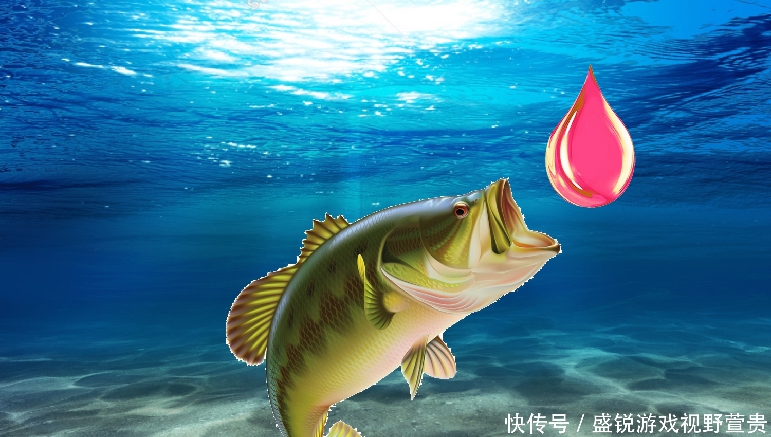 鱼群|钓鲤鱼时怎么才能让窝子里的鱼一直有口?钓鲤鱼的持续诱鱼技巧