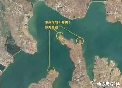 鱼竿|水库钓鱼不光钓位重要，这些更加重要