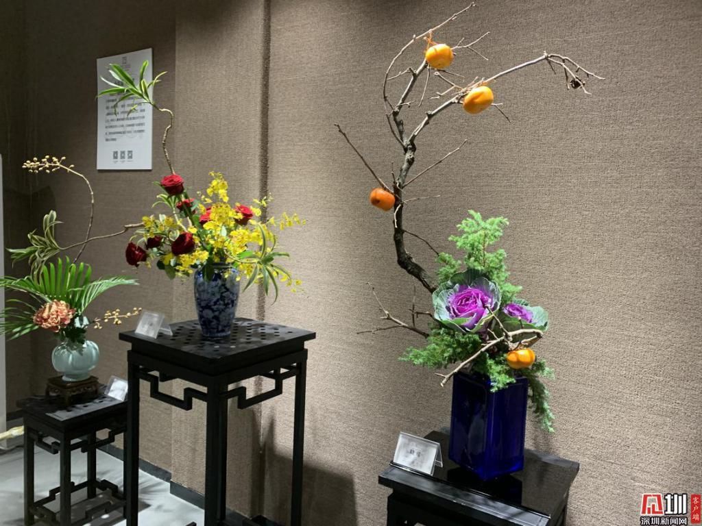 浪漫|7大展区8万盆菊花 东湖公园菊花展打造秋日的粉色浪漫