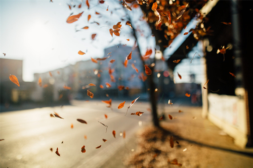 秋老虎|立秋已至，暑未尽，凉风起，养生重在“收”