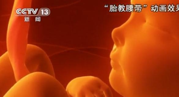 央视|央视曝光:胎教有安全隐患,央视提出胎教新方法