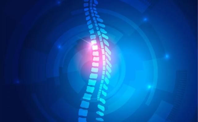 胸椎|有多少人年纪轻轻就“脊”病缠身？