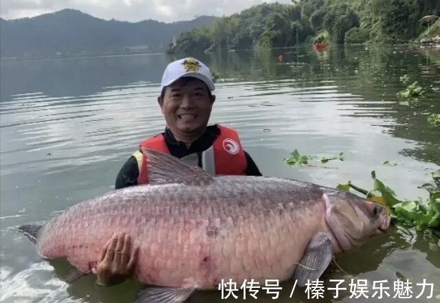 从两条百斤大青到带货近1.6亿,一夜爆红,谈钓王邓刚的精彩人生