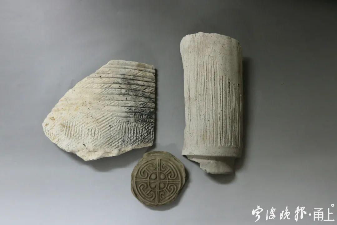  2号护岸|罕见！宁波又有重大发现！