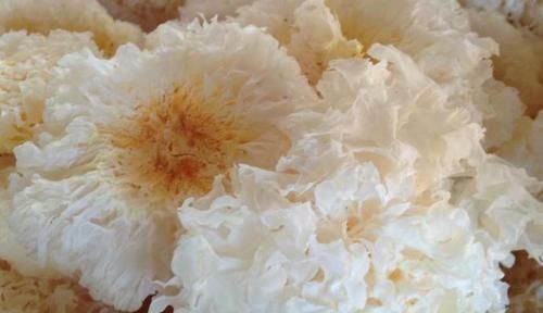 轻松|藏在身边的天然“通便药”，每天吃一吃，加快排便，一身轻松