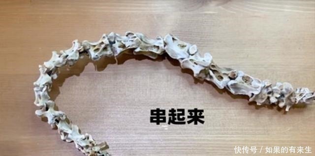手办|吃剩的鸡鸭骨头只能丢弃看大神略秀手艺,瞬间变成精致骨龙手办