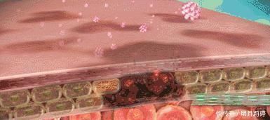 补水|日本变态手霜,效果堪比“换皮”轻轻一抹,双手一夜重回婴儿肌