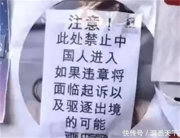 此国贴标语不欢迎我国人,如今回过神来,发现最吃亏的是自己