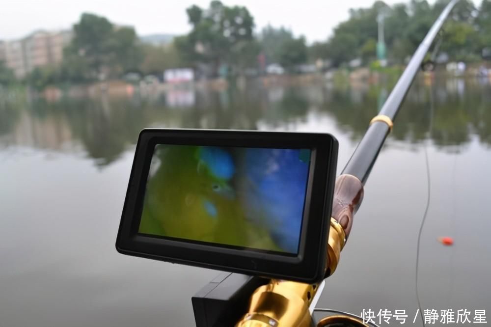 三千斤翘嘴一夜被钓完,“神饵泥鳅”为何让老大爷欲哭无泪?