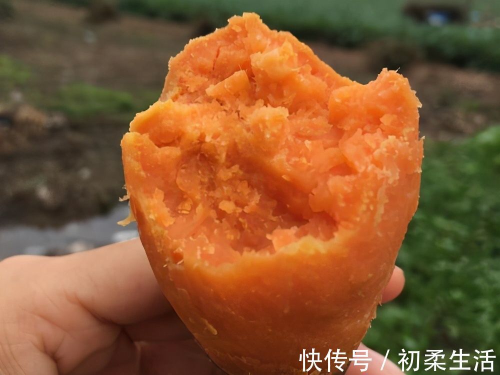 秋葵|这4种食物被称为“抗癌蔬菜”，建议大家多吃，还能保护心脑血管