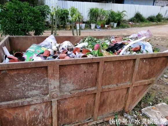 路边一堆“名贵花”,丢人也要捡,捡回家养2个月就开花!