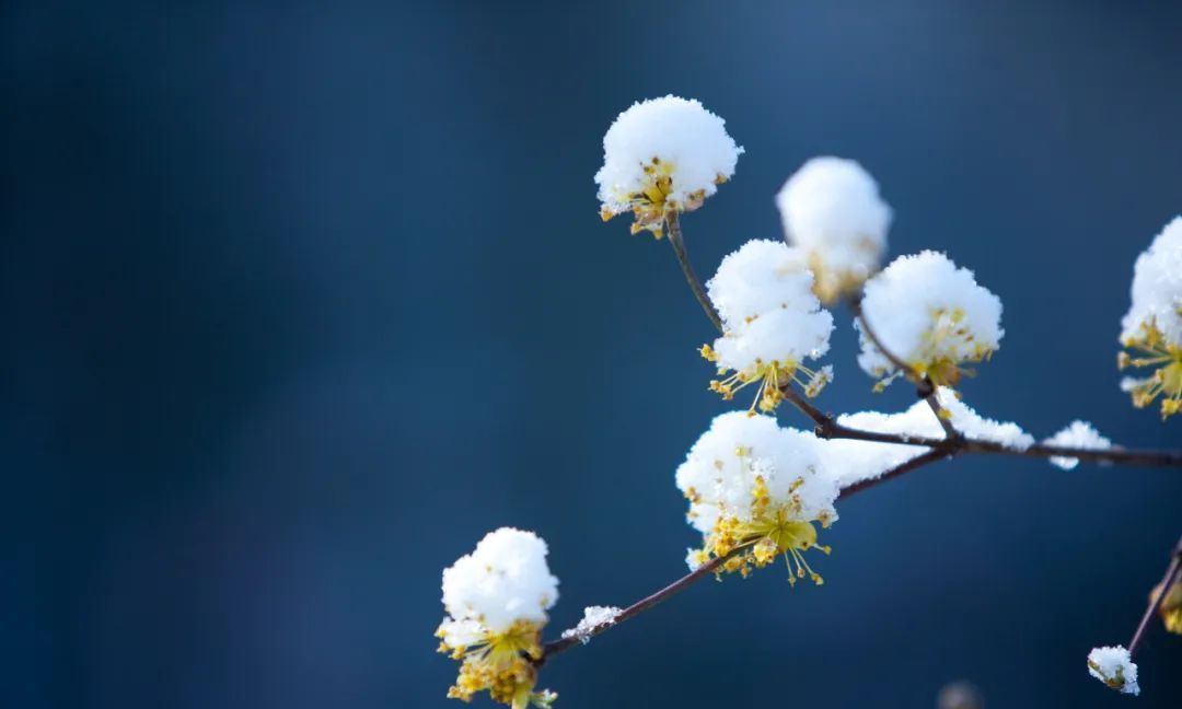山泉煎茶有怀#诗词里的冬天,美得令人怦然心动