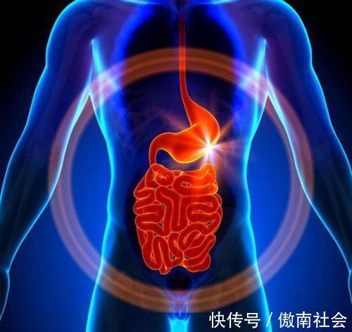 中国居民膳食指南|杂粮吃多了会便秘采用杂粮和细粮搭配公式,吃出健康和营养