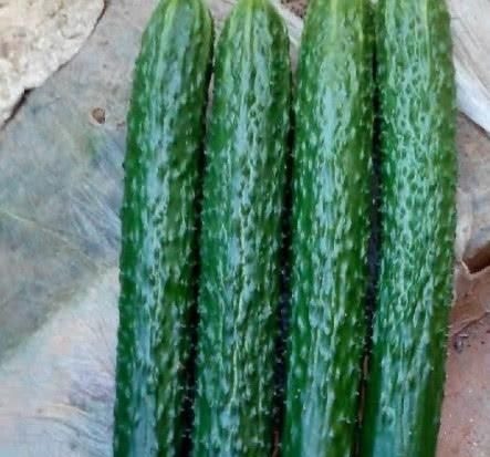 刮油菜|腹部赘肉一圈圈,平时多吃这4种“刮油菜”,排油脂促减肥