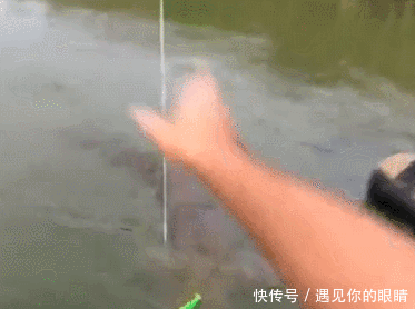 两人强强联手钓获大鱼,忍不住举起大鲶鱼,网友:只有羡慕的份