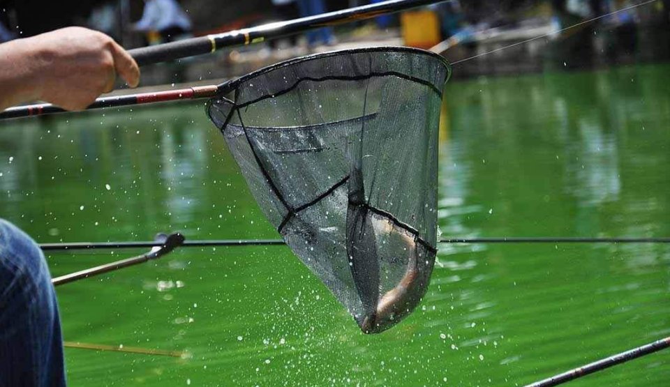 老钓手教你详细的台钓找底及调漂方法