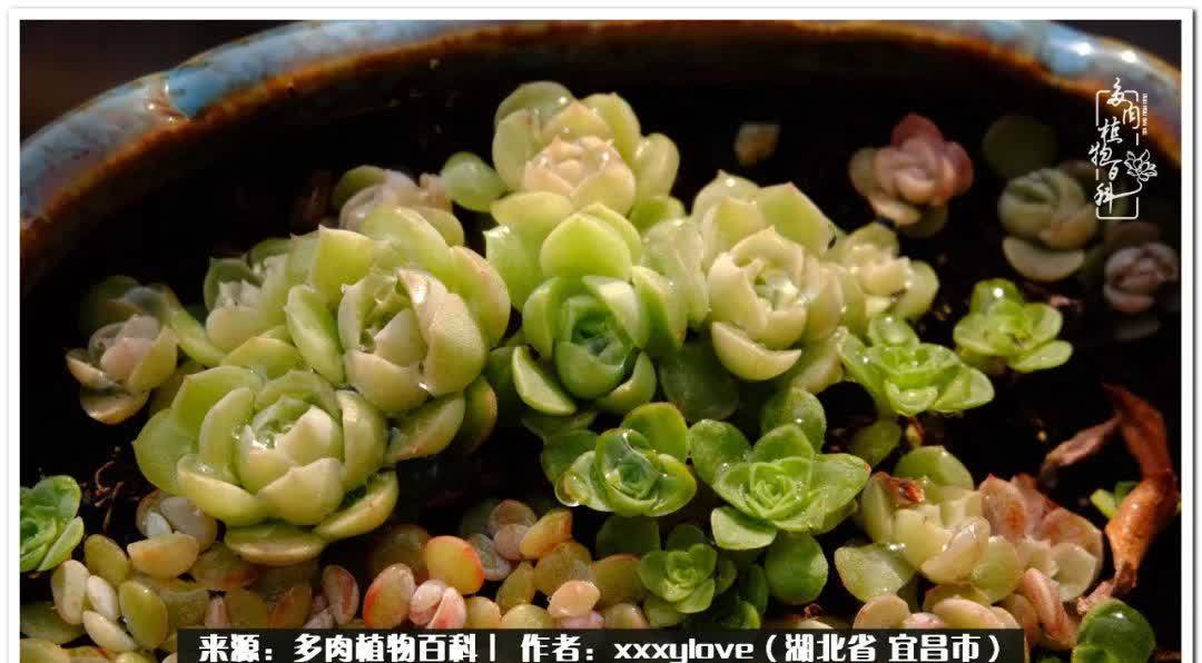 时光匆匆,一闪而逝,这世间万物的美,都值得被记录!