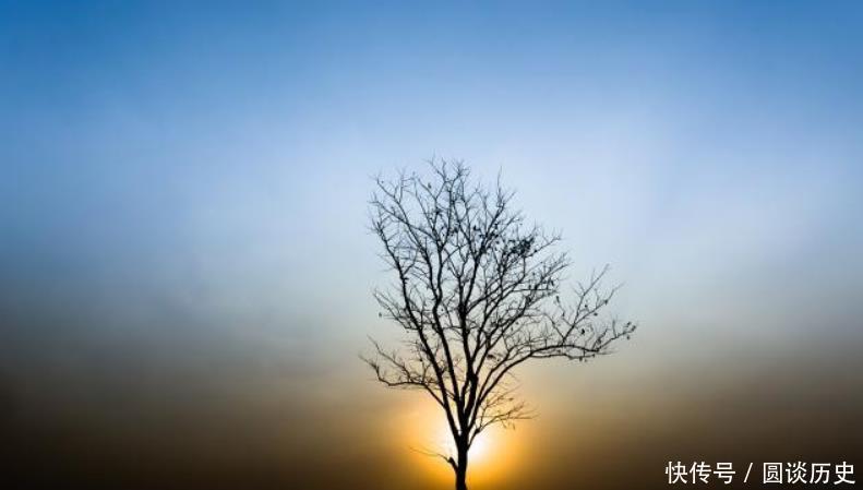 林徽因很凄美的一首情诗,一开篇就令人沉醉,道尽想爱不能爱之痛