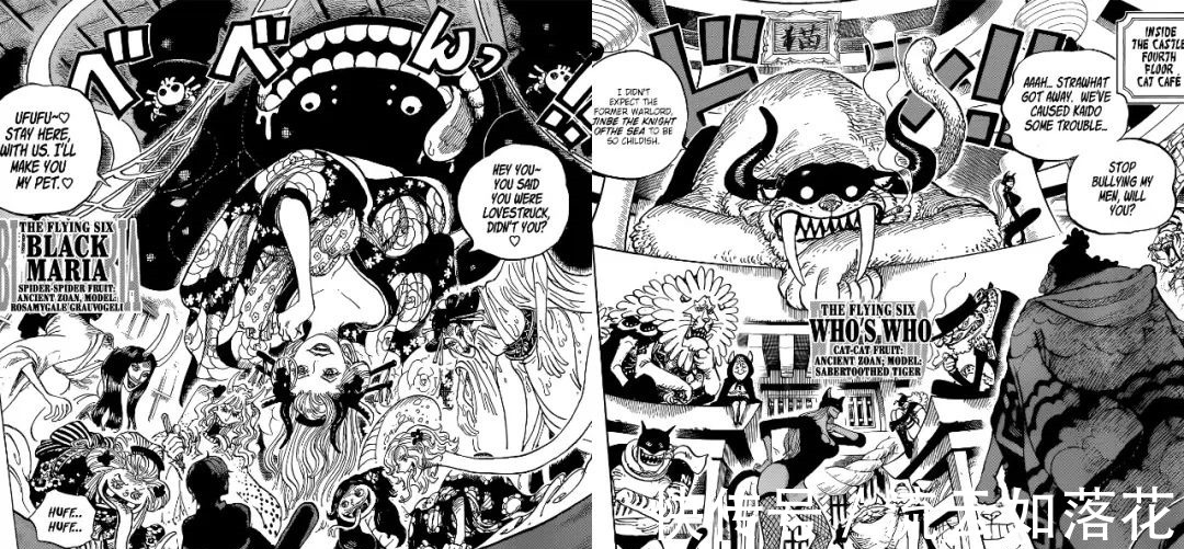 光彩|海贼王998话,不死鸟马尔科大放光彩,全体飞六胞恶魔果实公布