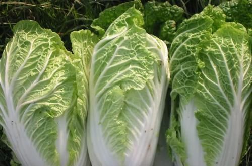 稳定血压|帮助降血压的5种食物,没事吃两口,稳定血压,为健康“助力”