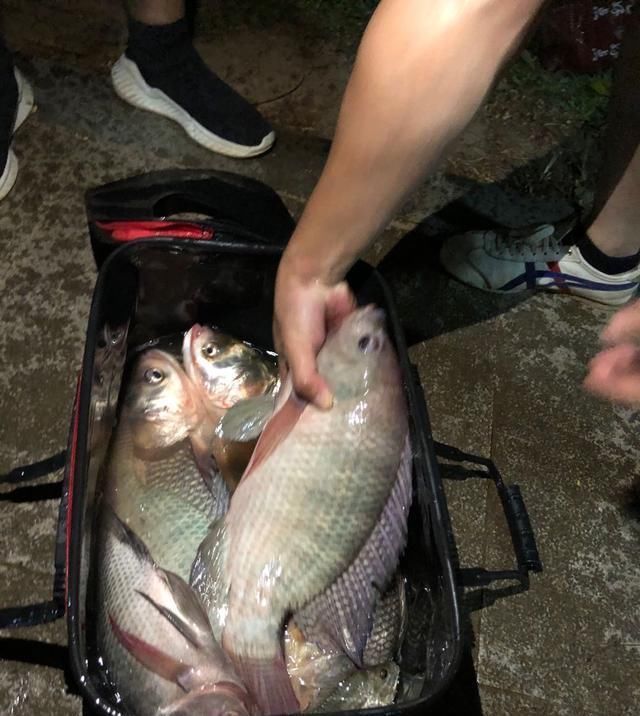 如何判断窝里有没有鱼进窝有信号,这三种情况果断走人
