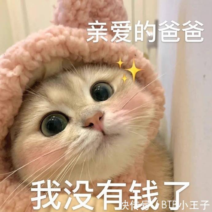 |笑话:阿姨,你是不是特别讨厌我这种家里有钱,学习成绩还好的人啊?