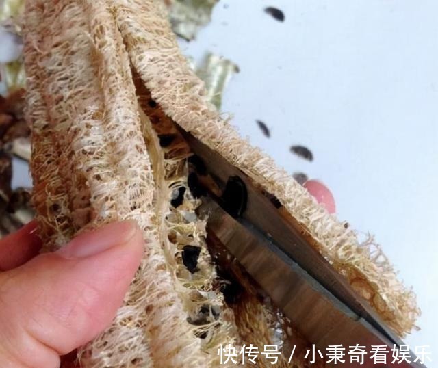 秋天满地的“稀奇宝贝”，不要白不要，捡起来养花，养1盆爆1盆