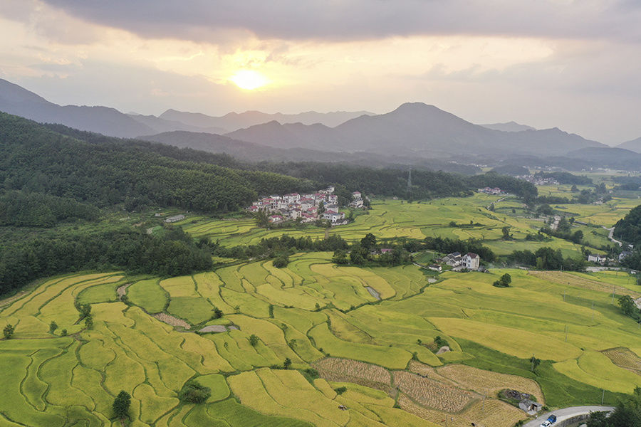 宣城|宣城旌德：白露节气到 梯田入画来