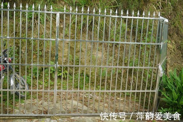 楼房|山村大叔不让女儿到路边玩，把楼房做成“围笼”，看啥样子