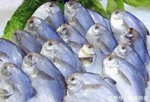 聪明人吃鱼只买这5种，人工无法养殖，营养高味道好，价格不算贵