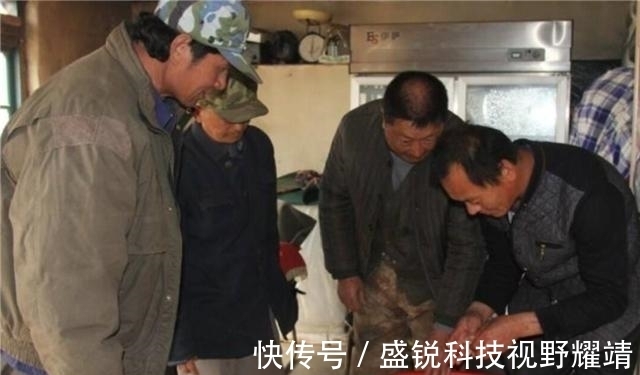 近况|5年前,捡到140斤太岁,卖了300万一夜暴富的辽宁农民,近况如何