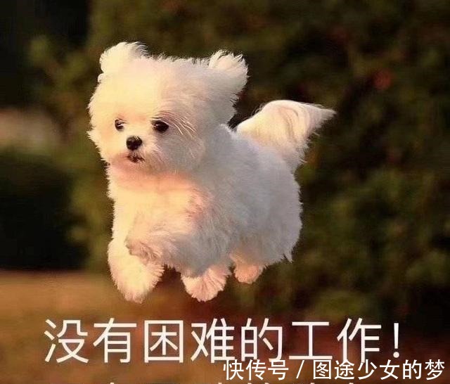 高浓度 国货护肤品崛起,到底值不值得买!