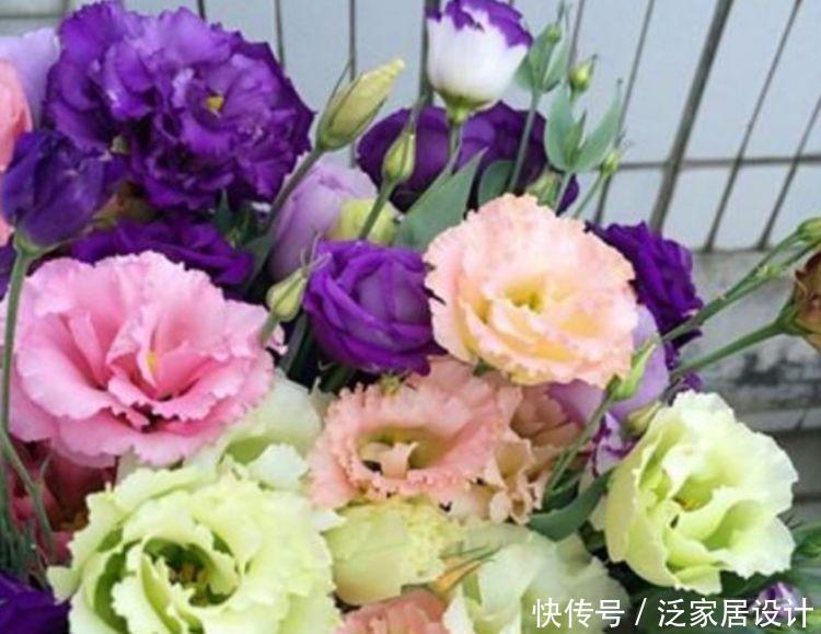 4种“开花小能手”，花朵硕大、花期长，美不胜收，你养了吗