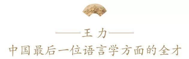王力$中国现代语言学大师耗尽半生的扛鼎之作,打开传统文化大门这才是中国人的必读书