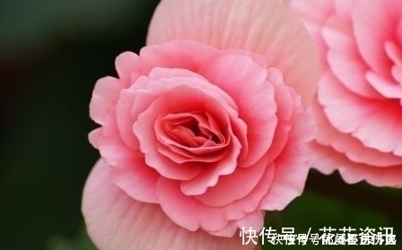 农历|谁家老婆出生在这三月,婚后引财无数,助益丈夫事业,福泽全家