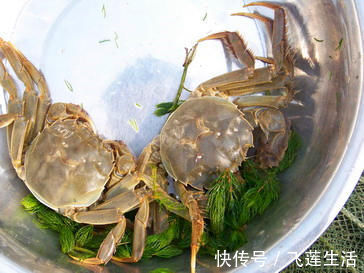 盘点|孕妇不能吃的东西大盘点,全在这里了,不需要到处查找了!