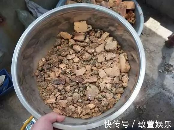 养兰花总是烂根黄叶盆底垫上常见生活垃圾,不烂根新芽冒不停