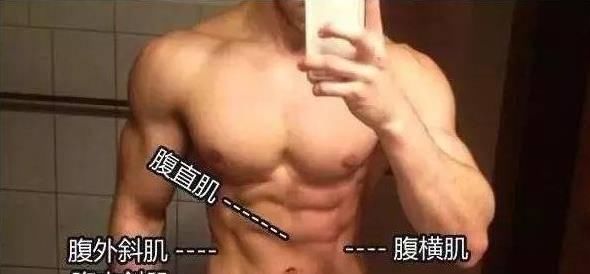 庄庄|韩国猛男黄哲勋再秀肌肉蜕变照,小头大胸肌,这身材可还行