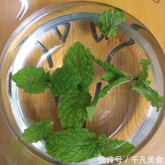 只用叶子也能扦插，这花把叶子剁5段，插到土里就能长成5盆花