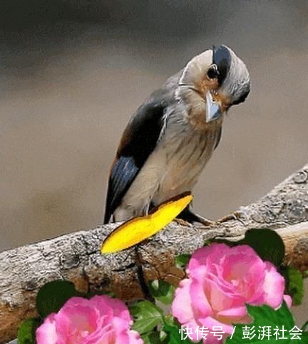 人心!良言20句,见证人心,看透人性看一次胜读十年书