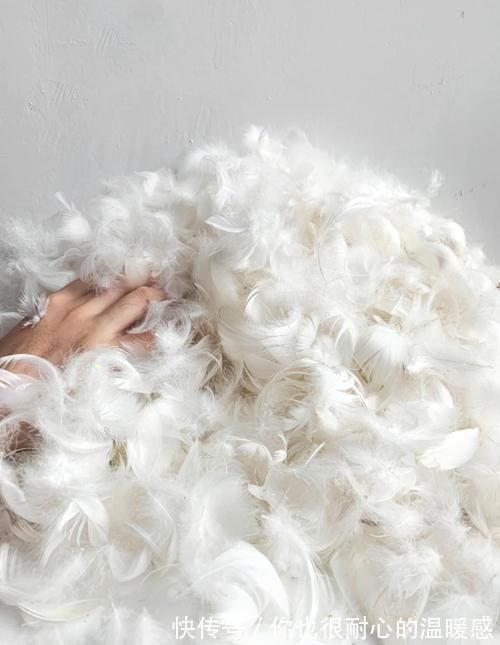 填充物|选择沙发，别傻乎乎地只看样式，看不见的填充物更值得我们关心