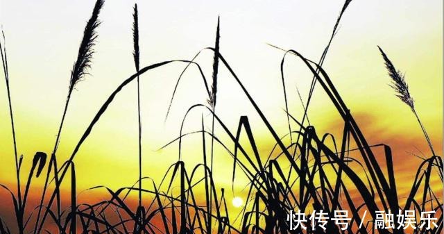 口铭&不知名隐士平生只这一首诗存世,仅24字共有5个少字,句句不简单