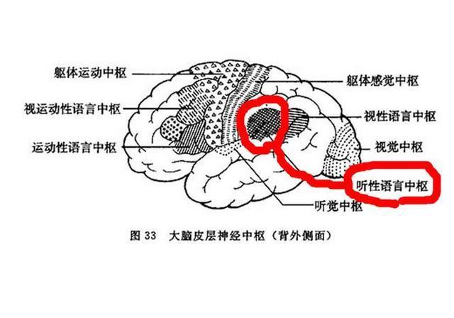 家长|父母这些“坏习惯”,容易让孩子变“笨”,家长别不当一回事