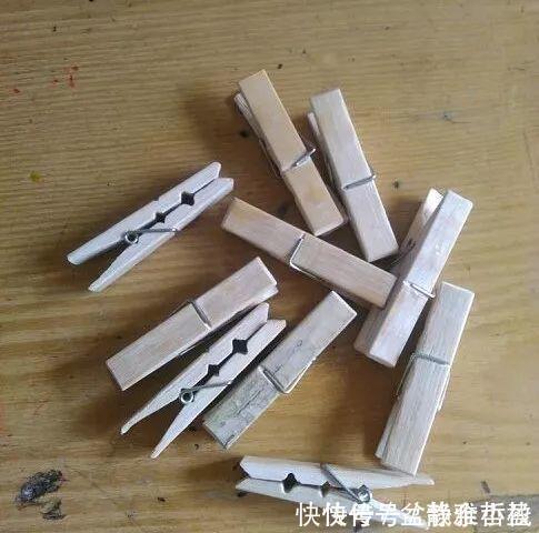 买的花盆又贵又难看?花花教你自制花盆,省钱又漂亮!