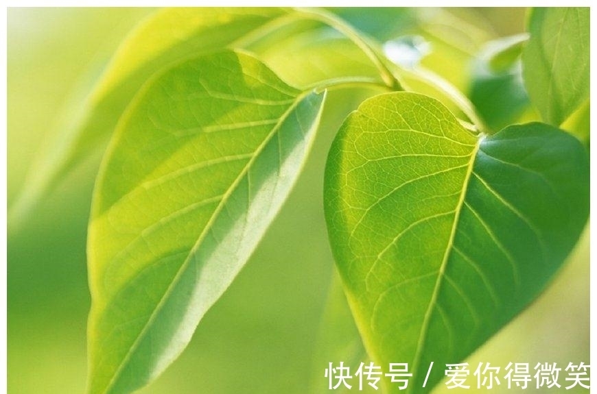 财运|7月，福气降临，财运节节高升，事业蒸蒸日上的3星座